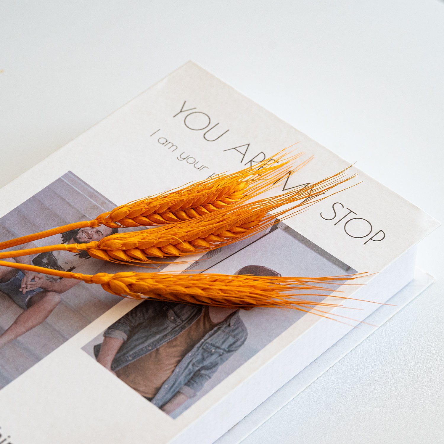 Wholesale Dried Wheat Sheaves Stalks Bouquet Orange Wheat Ears Grain Flowers Dry Grass Bunch Boho Decor