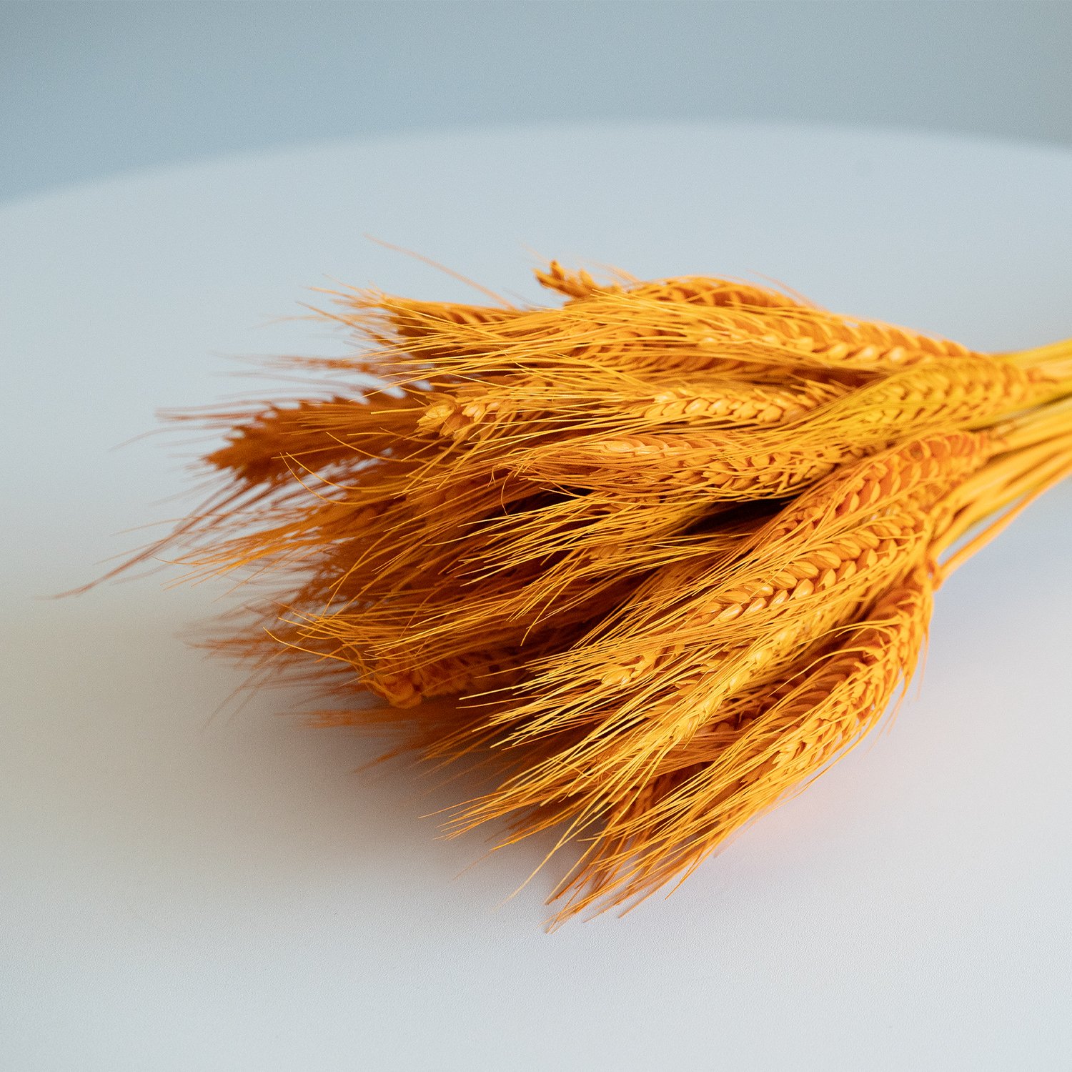 Wholesale Dried Wheat Sheaves Stalks Bouquet Orange Wheat Ears Grain Flowers Dry Grass Bunch Boho Decor