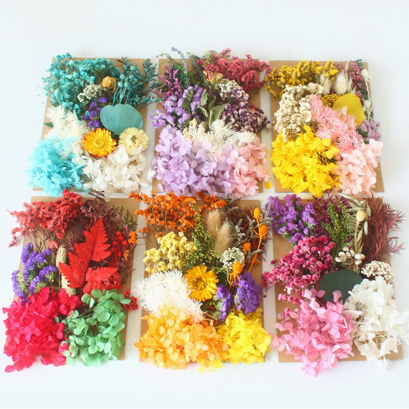 Eternal flower material package wholesale cross-border embossing dried flower DIY handmade floral gifts