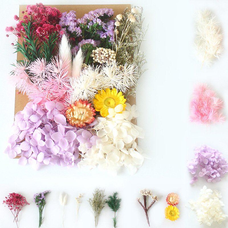 Eternal flower material package wholesale cross-border embossing dried flower DIY handmade floral gifts