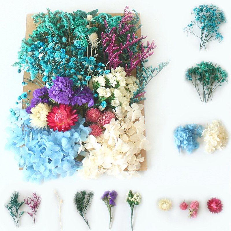 Eternal flower material package wholesale cross-border embossing dried flower DIY handmade floral gifts