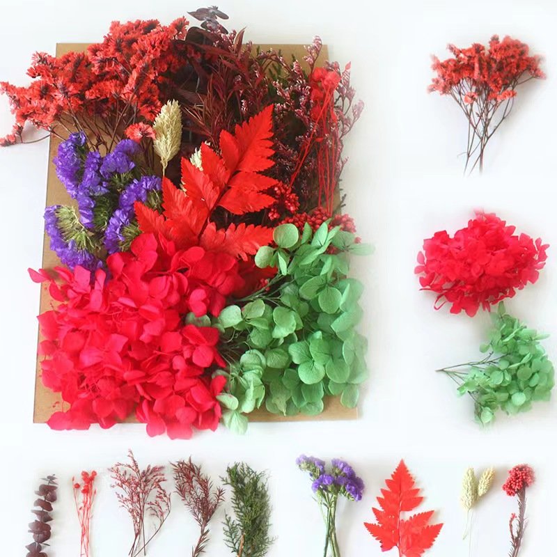 Eternal flower material package wholesale cross-border embossing dried flower DIY handmade floral gifts