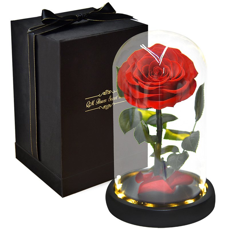 Valentine's Day Gift Preserved Flower Rose Small Prince Red Eternal Flower Real Rose With Glass Cover