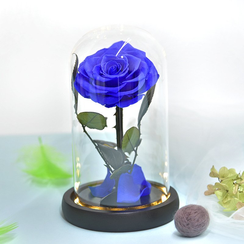 Valentine's Day Gift Preserved Flower Rose Small Prince Red Eternal Flower Real Rose With Glass Cover