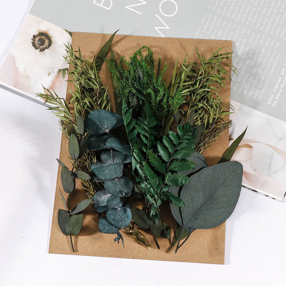 Factory wholesales DIY dried flowers and plants real natural resin wholesale natural dried pressed flowers