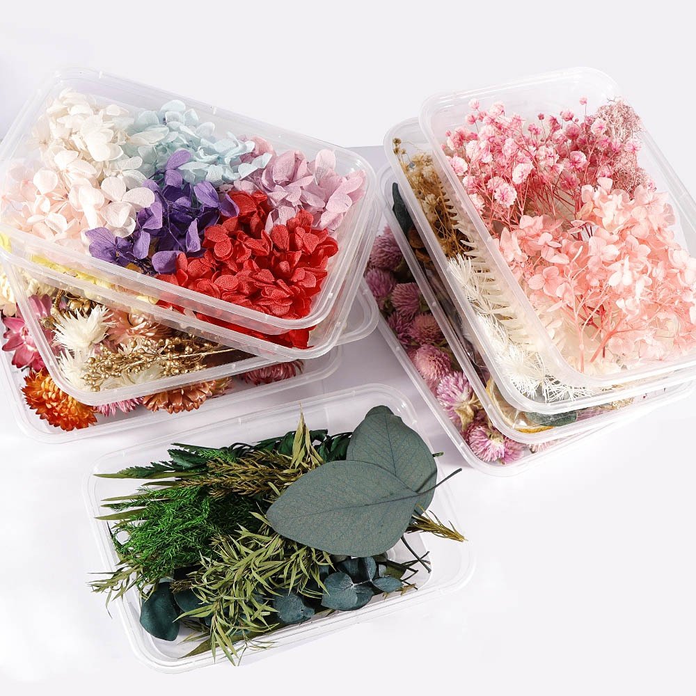 Factory wholesales DIY dried flowers and plants real natural resin wholesale natural dried pressed flowers