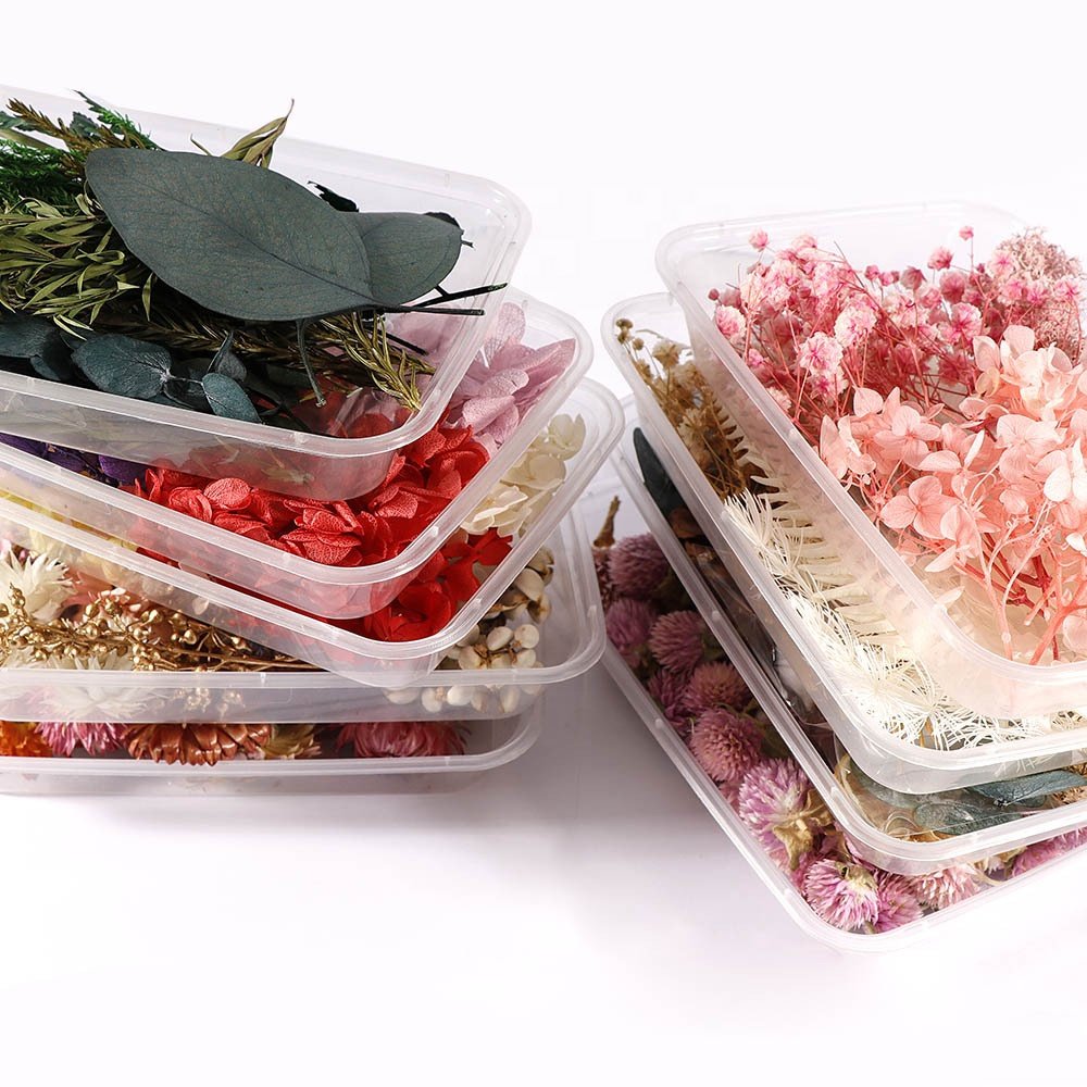 Factory wholesales DIY dried flowers and plants real natural resin wholesale natural dried pressed flowers