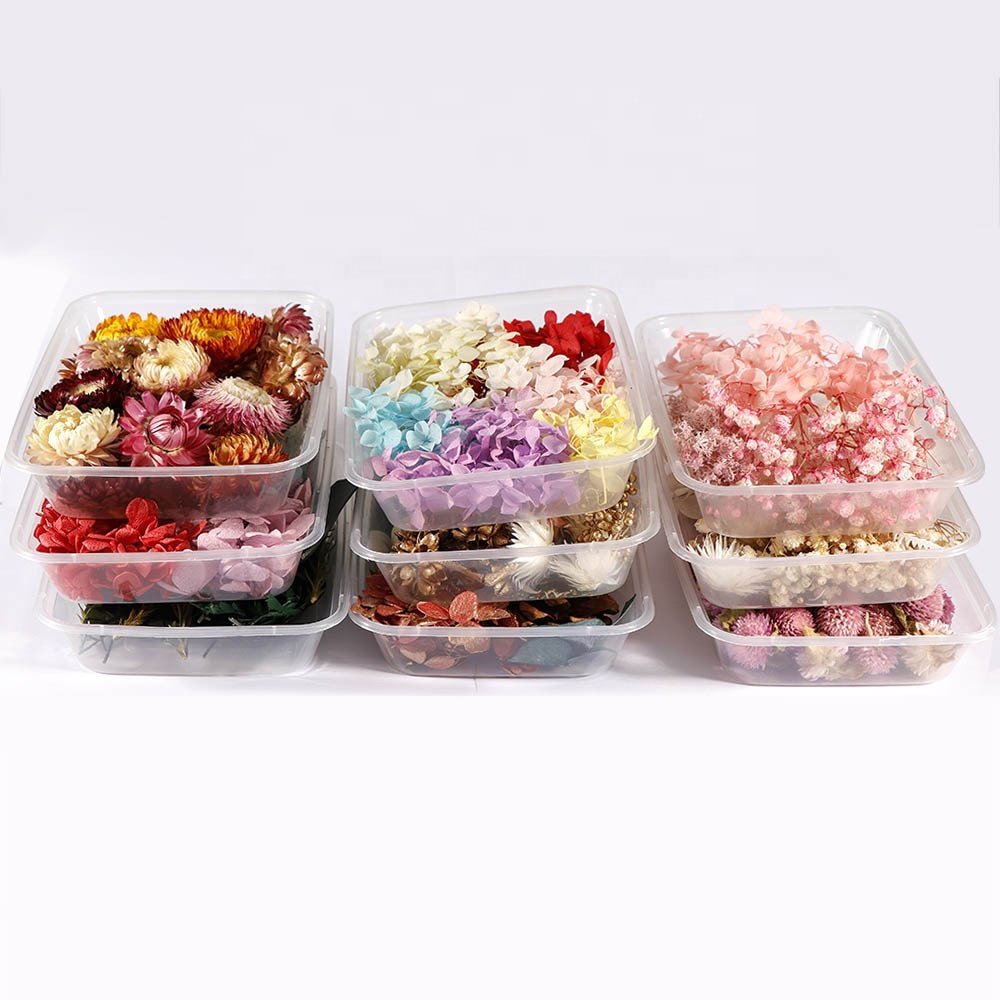 Factory wholesales DIY dried flowers and plants real natural resin wholesale natural dried pressed flowers