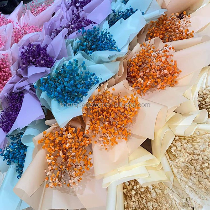 Factory Direct sale Preserved baby breath Colorful Wedding Decoration Preserved Gypsophila and Plants dried Baby Breath Flower
