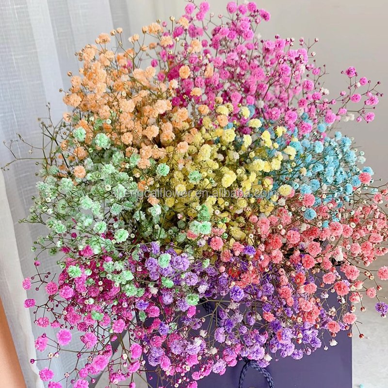 Factory Direct sale Preserved baby breath Colorful Wedding Decoration Preserved Gypsophila and Plants dried Baby Breath Flower