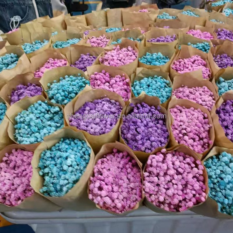 Factory Direct sale Preserved baby breath Colorful Wedding Decoration Preserved Gypsophila and Plants dried Baby Breath Flower