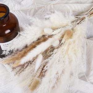 Wholesale Europe style Pampas Grass Dried Flower bouquet Home decoration Valentine's Day gift preserved flower