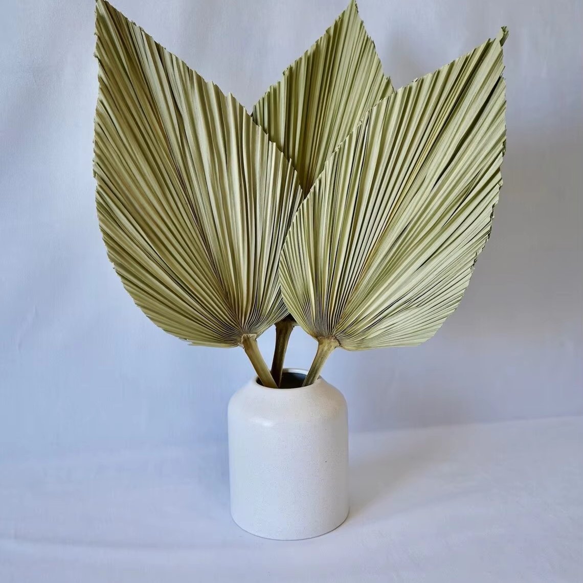 Z-2 PALM LEAVES 24"H Sun-Dried Palm Fronds Boho Wedding Arch Accent Safari Baby Shower Beach Wedding Decor