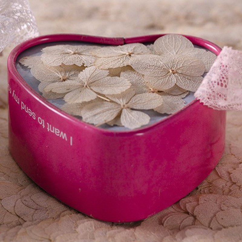 MNR 2001 Natural white color hydrangea flower for DIY resin flower handcraft