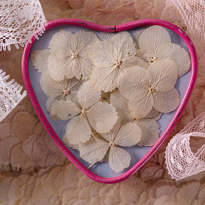 MNR 2001 Natural white color hydrangea flower for DIY resin flower handcraft