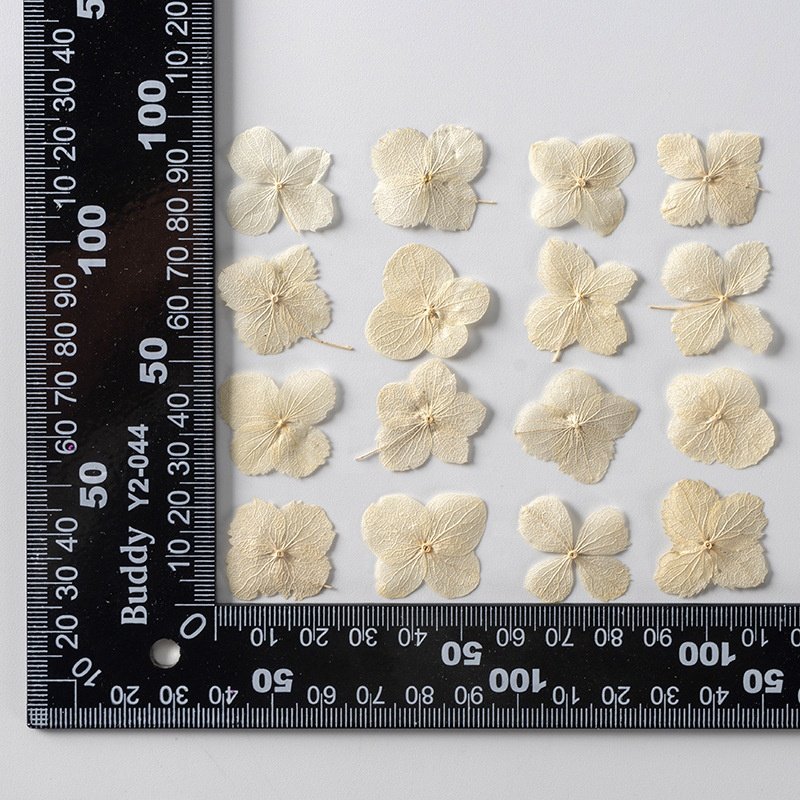 MNR 2001 Natural white color hydrangea flower for DIY resin flower handcraft