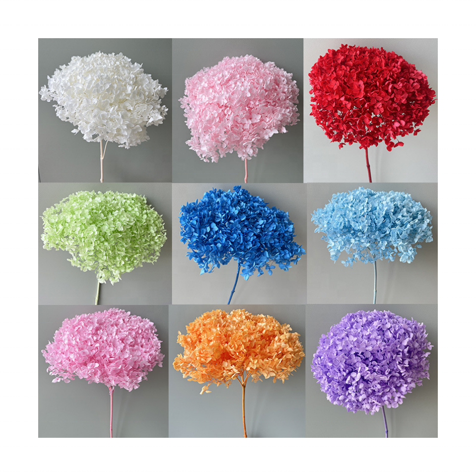 E Wholesale dry floral decoration preserved dried Eternal Flowers Anna Hydrangea eternal dried flower Anna Hydrangea flowers