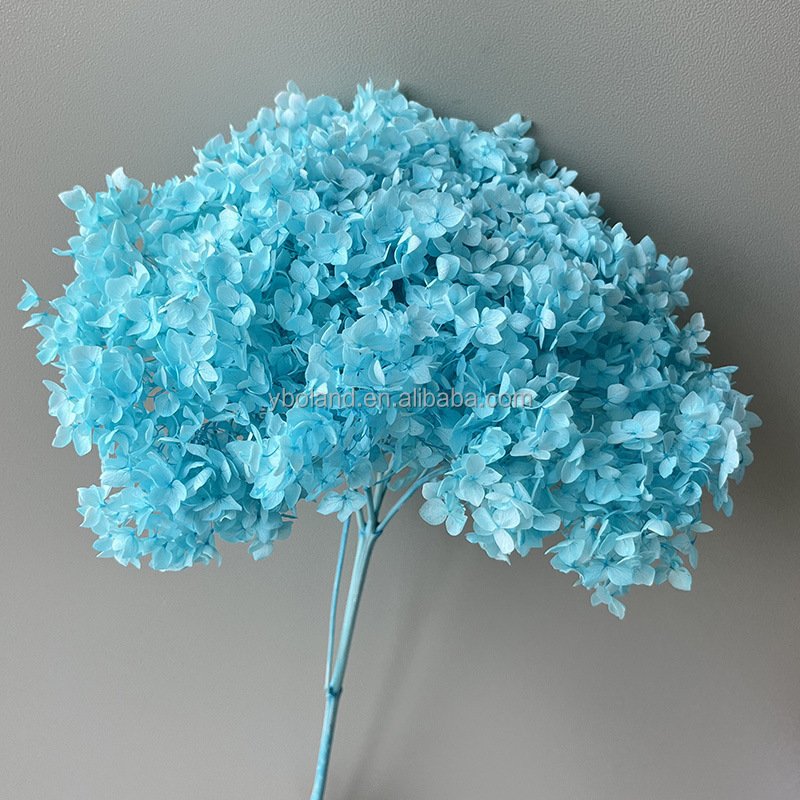 E Wholesale dry floral decoration preserved dried Eternal Flowers Anna Hydrangea eternal dried flower Anna Hydrangea flowers