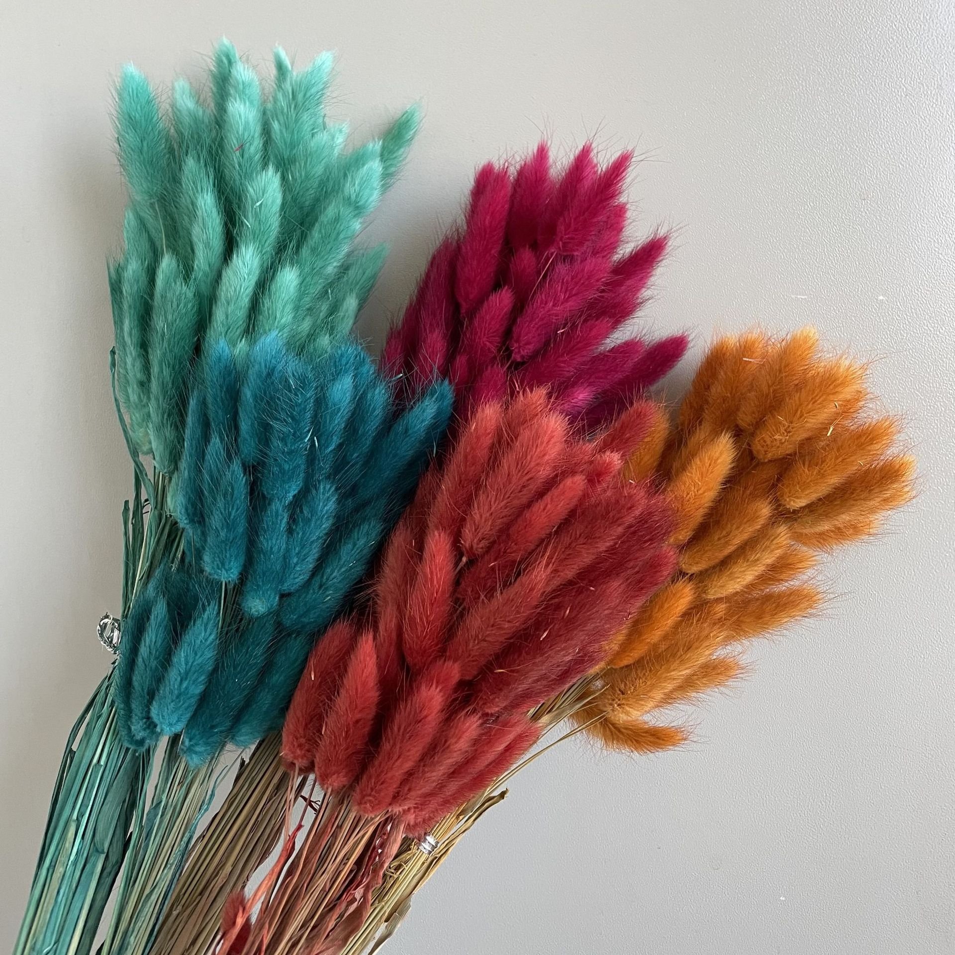 DP-003 Wholesale Dry flower pampas flower bouquets 50 heads Rabbits Tail Grass Bunny Tails Dried Flowers