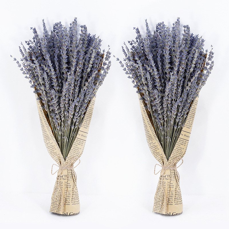 Dried Purple Lavender Flowers Bundle Dried Preserved Lavender Bouquet for Shower Wedding Home Vase Decor Crafts