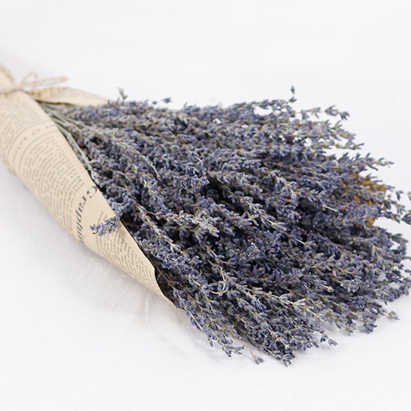 Dried Purple Lavender Flowers Bundle Dried Preserved Lavender Bouquet for Shower Wedding Home Vase Decor Crafts