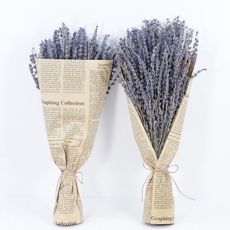 Dried Purple Lavender Flowers Bundle Dried Preserved Lavender Bouquet for Shower Wedding Home Vase Decor Crafts
