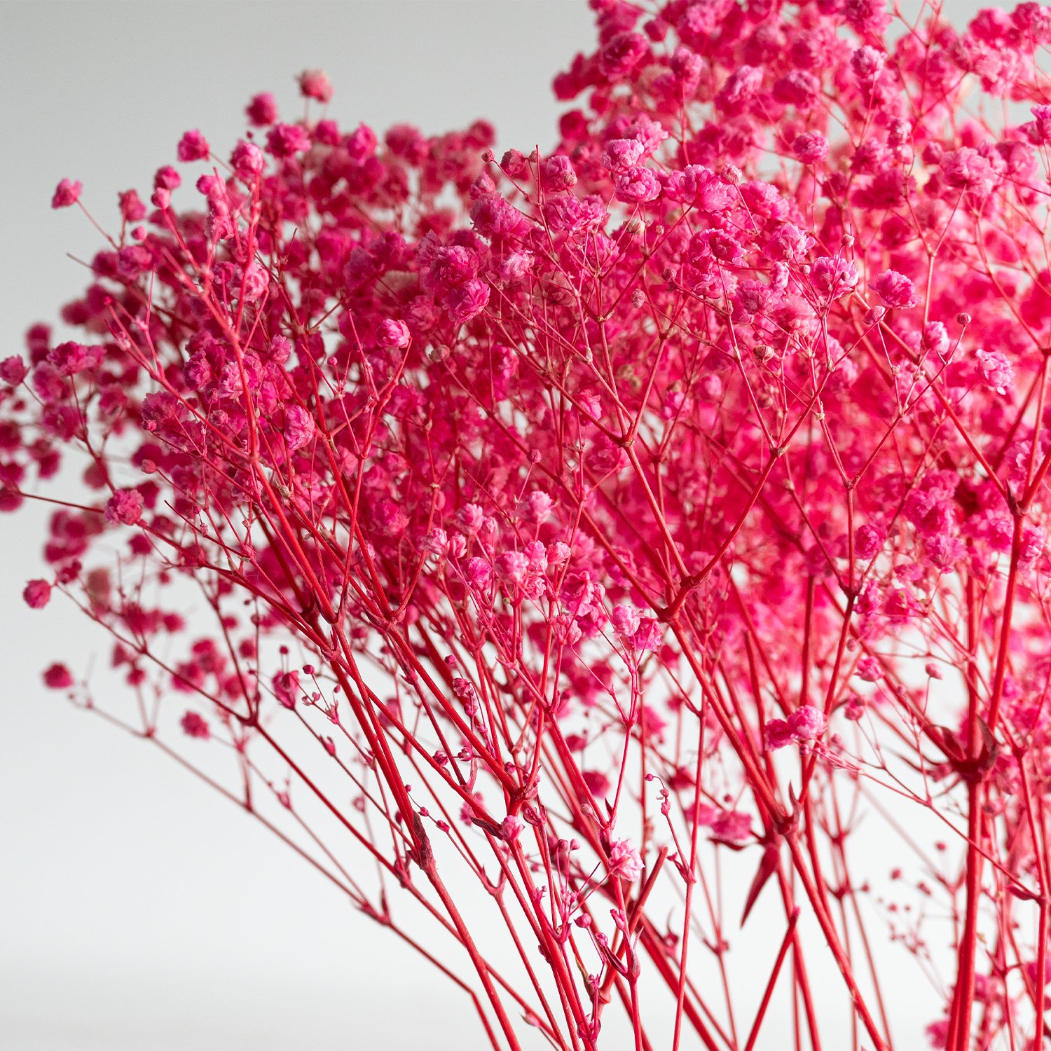 Factory Wholesale pink preserved baby's breath floral dried baby breath gypsophila babysbreath bouquet flower