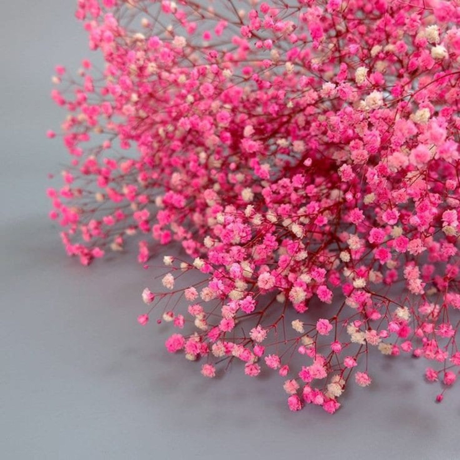 Factory Wholesale pink preserved baby's breath floral dried baby breath gypsophila babysbreath bouquet flower