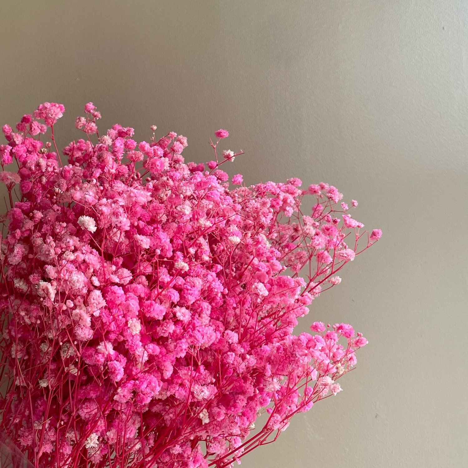 Factory Wholesale pink preserved baby's breath floral dried baby breath gypsophila babysbreath bouquet flower