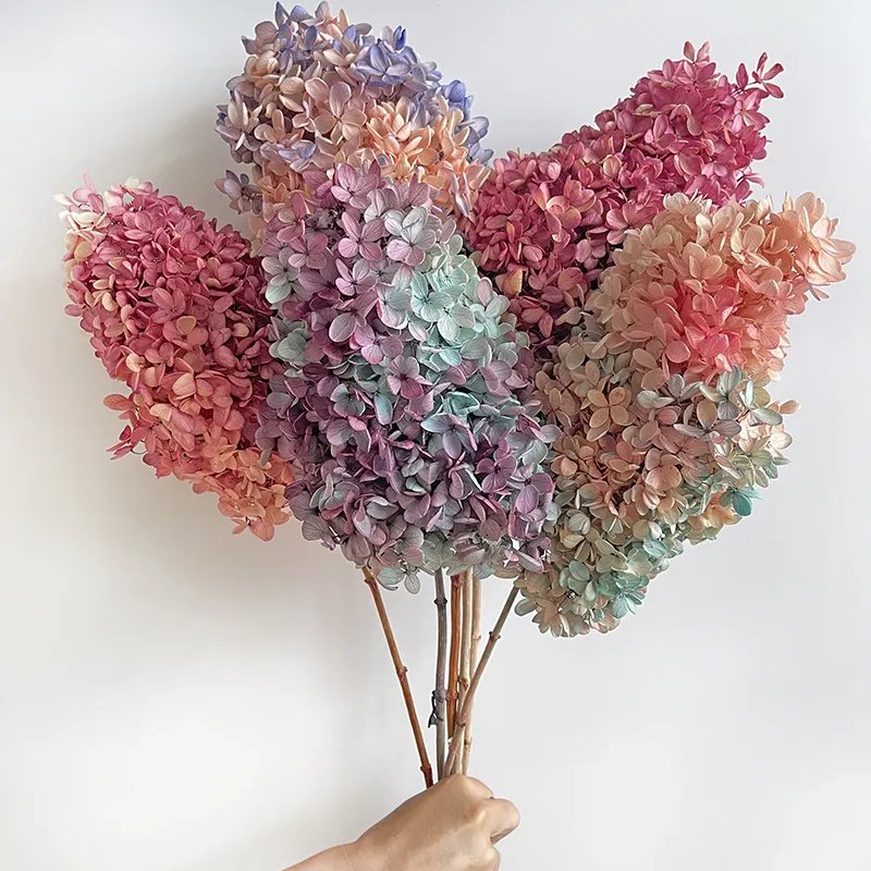 Wholesale Dry Hydrangea Dried Flowers Plants Preserved Pagoda Wood Hydrangea flowers