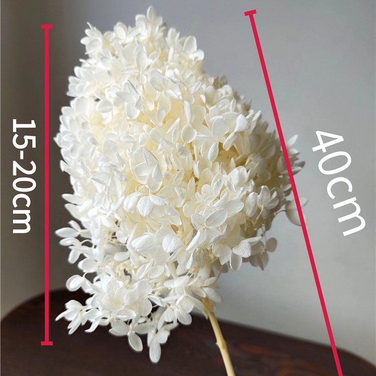 Wholesale Dry Hydrangea Dried Flowers Plants Preserved Pagoda Wood Hydrangea flowers
