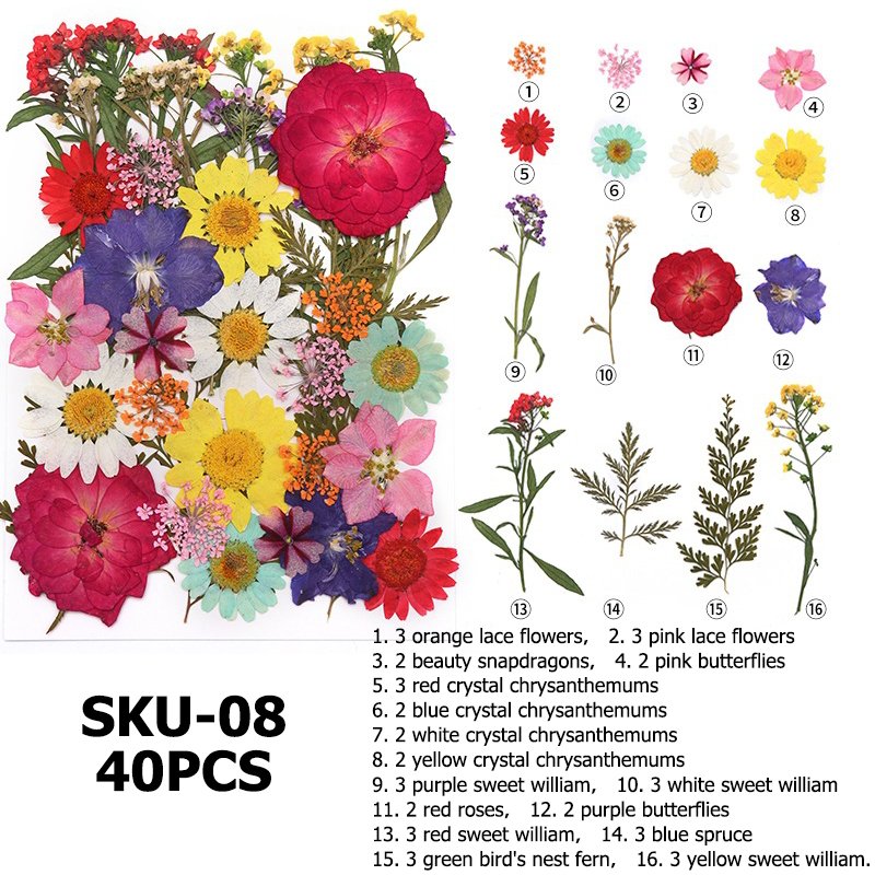 Hot Sell Pressed Dry Flowers Natural Mixed Dried Flower For DIY Epoxy Resin Craft Nail Art Materials Decor Flowers Wedding