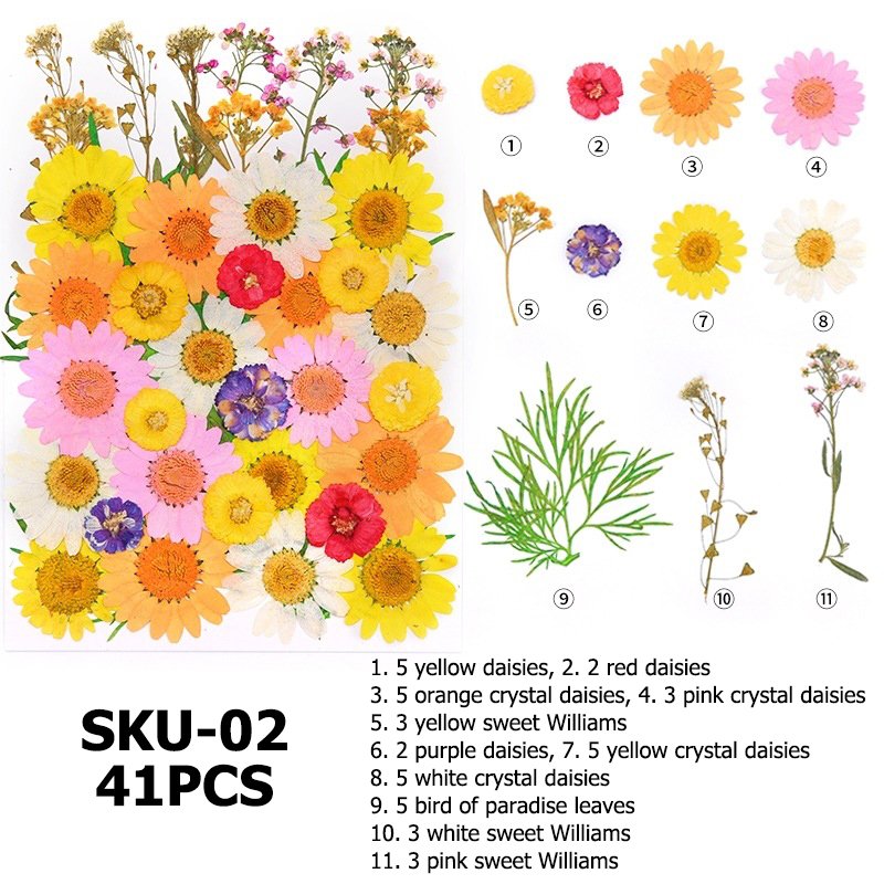 Hot Sell Pressed Dry Flowers Natural Mixed Dried Flower For DIY Epoxy Resin Craft Nail Art Materials Decor Flowers Wedding