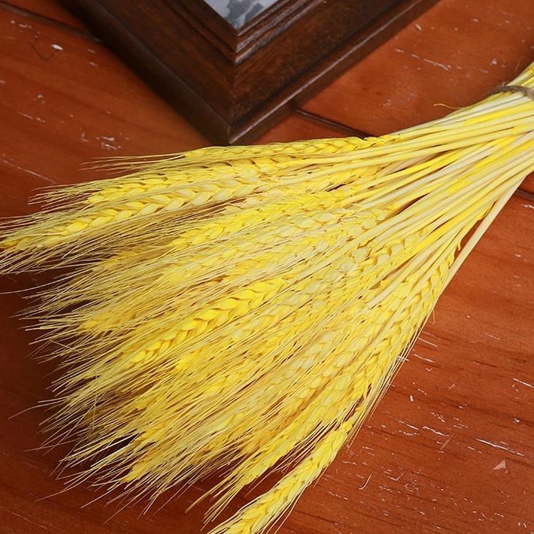 SumFlora Wholesale ins hot Products Natural dried barley for Florist supply