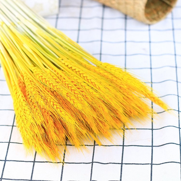 SumFlora Wholesale ins hot Products Natural dried barley for Florist supply