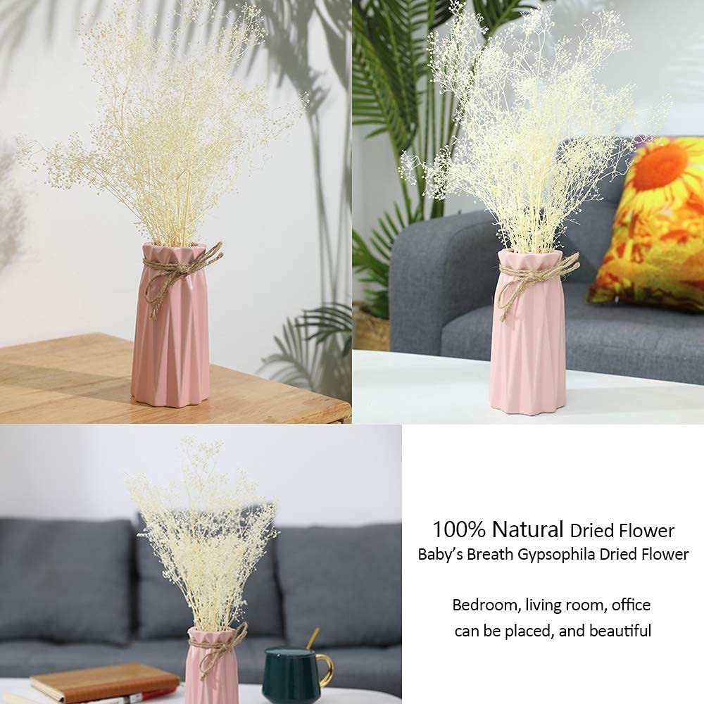 Dried Gypsophila Flower Bundles Baby Breath 100% Natural for Wedding DIY Arrangements Home Decorations Million Star Dried