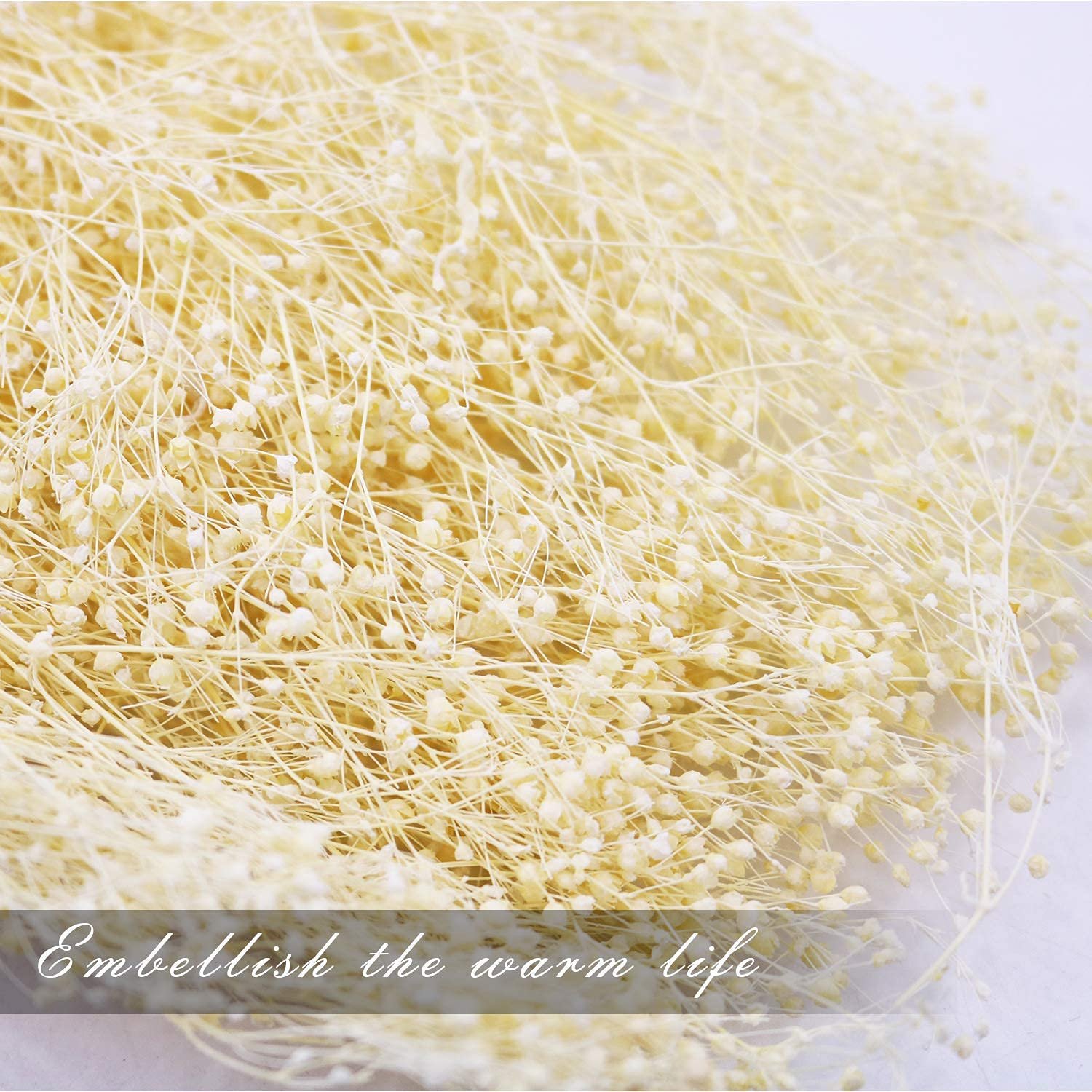 Dried Gypsophila Flower Bundles Baby Breath 100% Natural for Wedding DIY Arrangements Home Decorations Million Star Dried