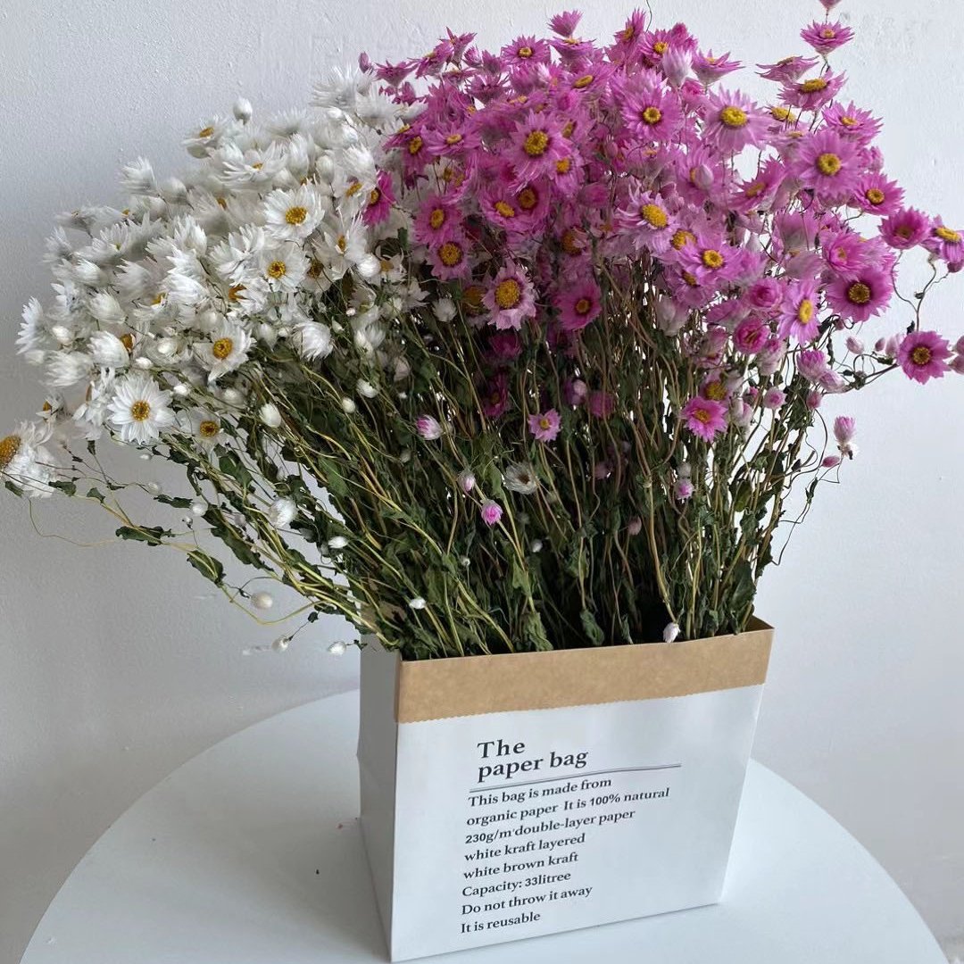 wholesale ins popular real natural dried flowers plants everlasting daisy dried rhodanthe for diy craft home wedding decor