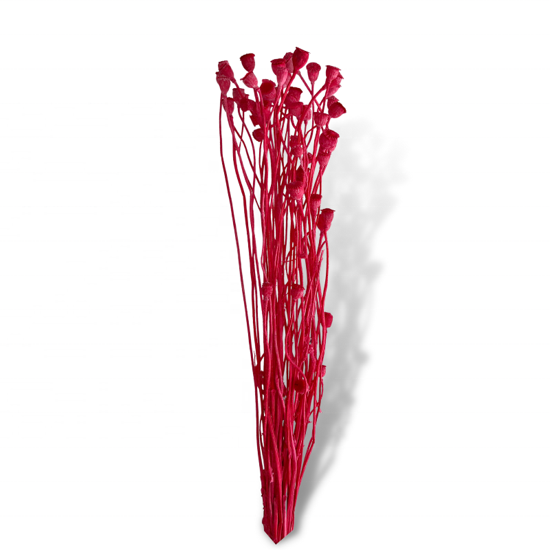 Preserved Poppy Flower Dried Poppy Bouquet Home Wedding Decor Dry Flowers
