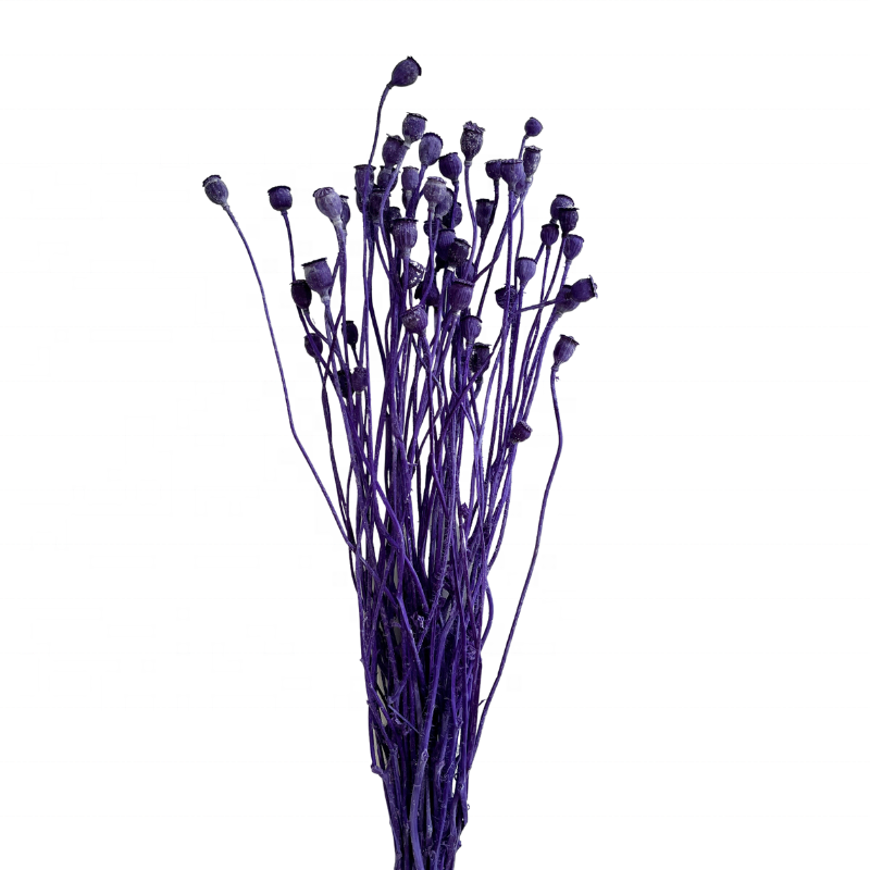 Preserved Poppy Flower Dried Poppy Bouquet Home Wedding Decor Dry Flowers