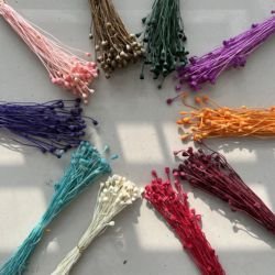 ALL