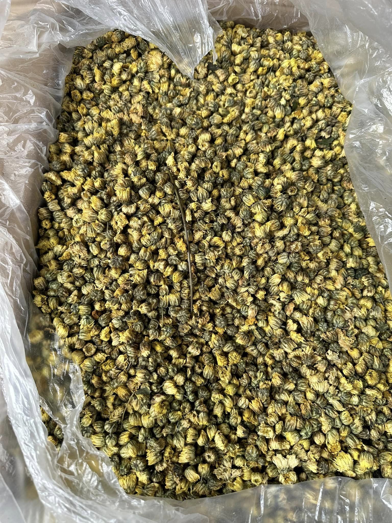 Dried flowers tea for Quick slimming bio slim african hibiscus tea flower , chamomile healthy drinks herbal teas