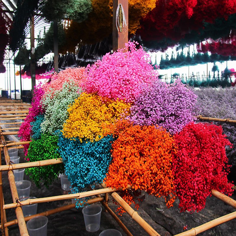 Wholesale Natural Gypsophila Bouquet Preserved Baby's Breath Dried Flower for Wedding/home Decoration