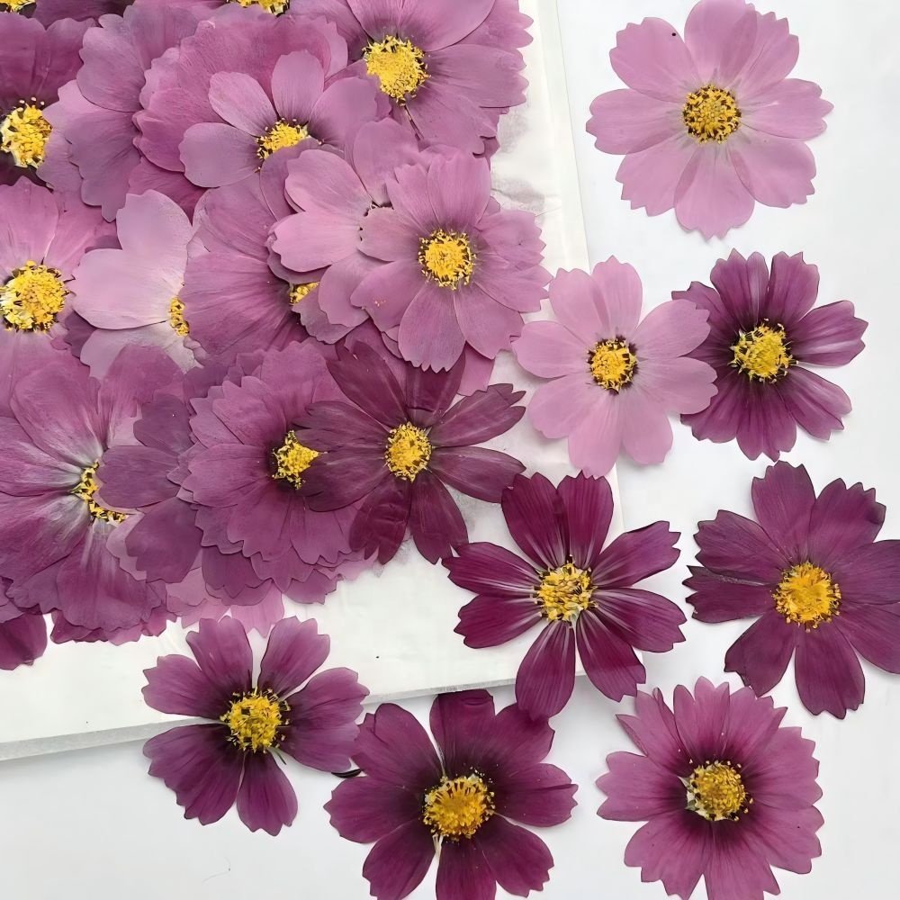 Pressed flower jewelry resin cellphone case decora handmade products preservation beautiful DIY craft dried petal