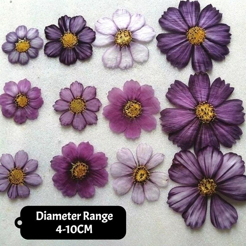 Pressed flower jewelry resin cellphone case decora handmade products preservation beautiful DIY craft dried petal