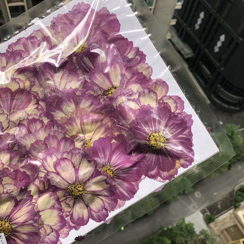 Pressed flower jewelry resin cellphone case decora handmade products preservation beautiful DIY craft dried petal