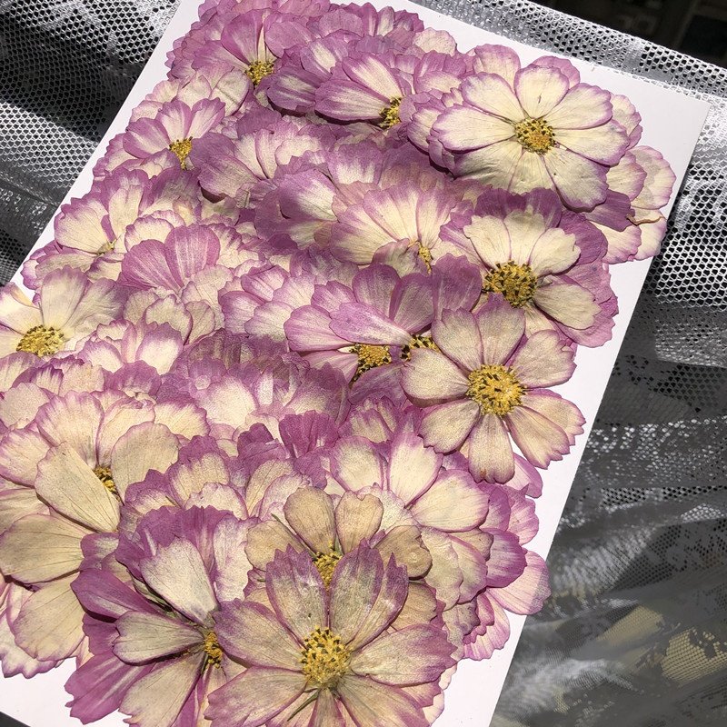 Pressed flower jewelry resin cellphone case decora handmade products preservation beautiful DIY craft dried petal