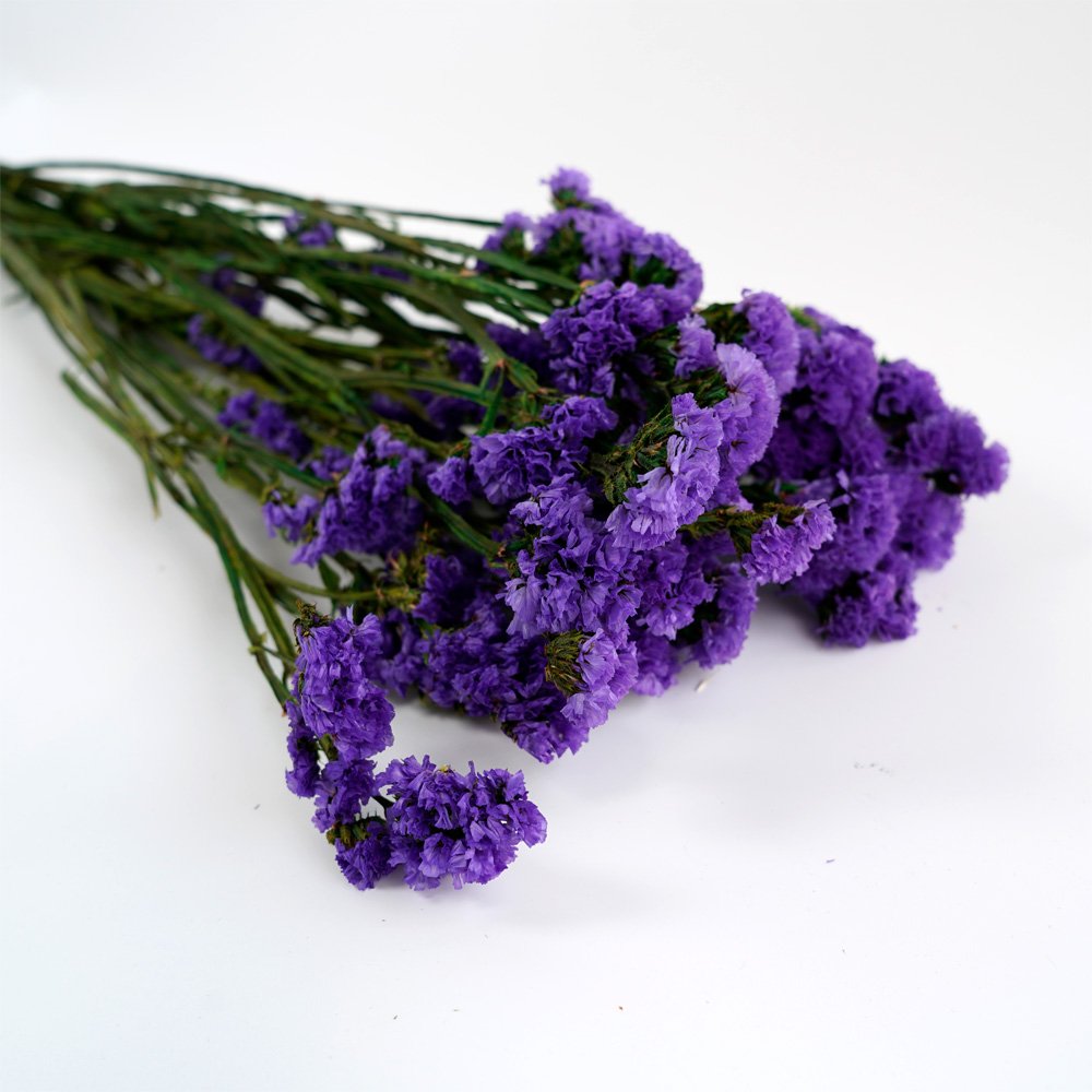 Manufacturer Dried Flowers Bundles Forget Me Not Preserved Dried Flowers Bouquet For Home Party Wedding Decoration