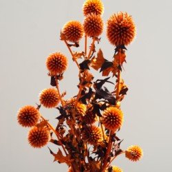 Orange-red