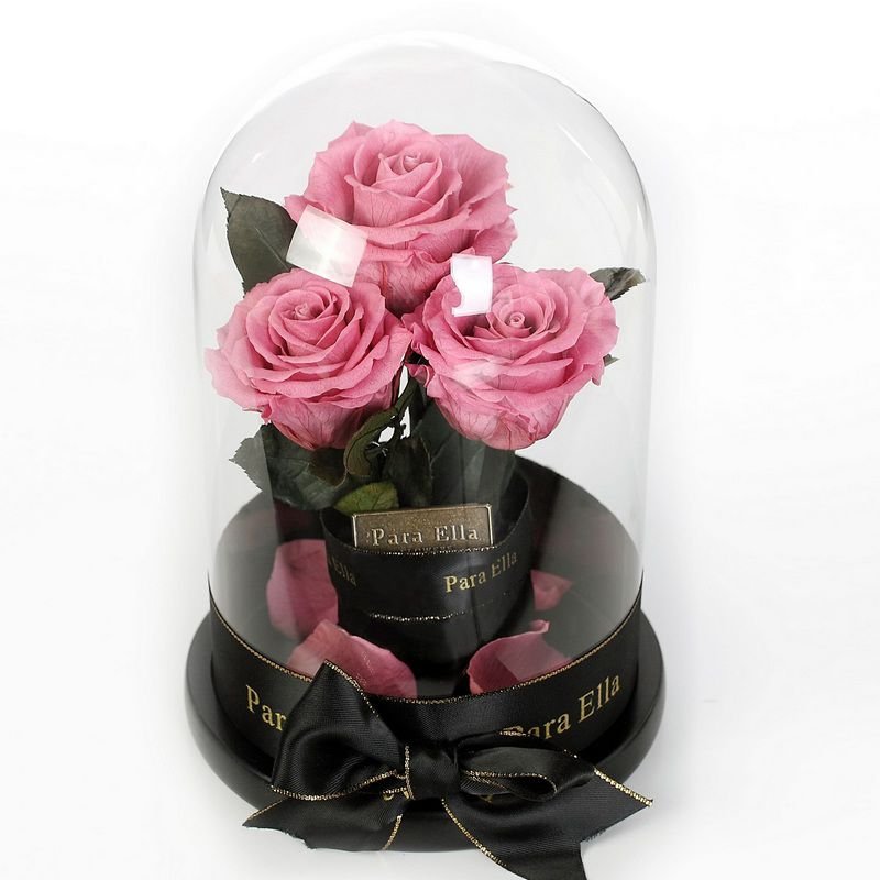 Colorful preserved freeze dried roses flower in glass